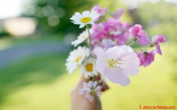 Vì hạnh phúc và an lạc cho mọi người
